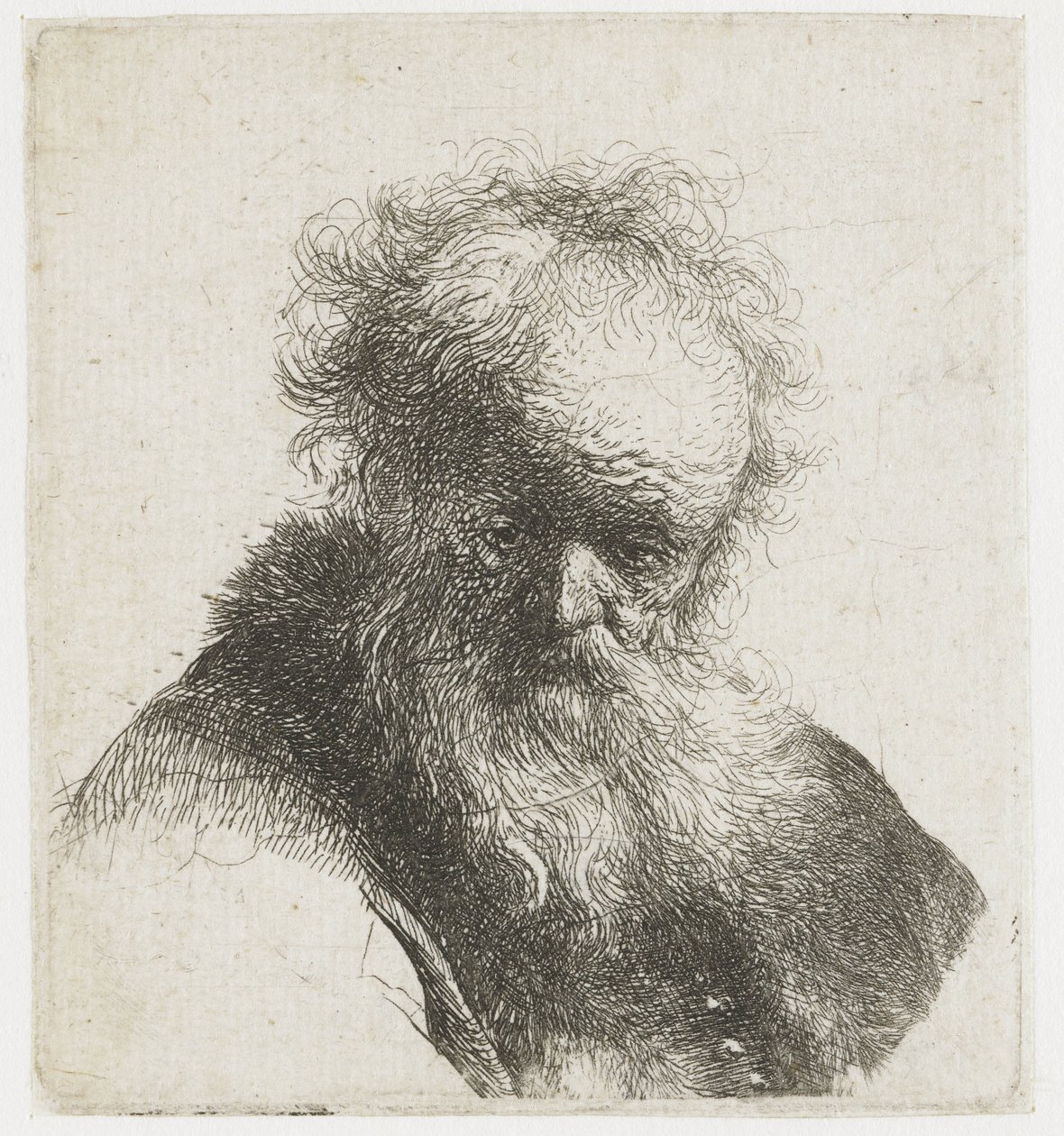 Vanhan miehen rintakuva, jonka parta ja valkoinen hiha tekijältä Rembrandt van Rijn
