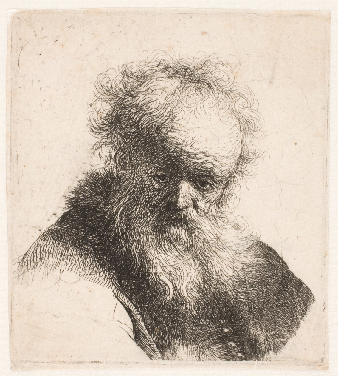 Vanhan miehen rintakuva, jolla on tuuhea parta ja valkoinen hiha tekijältä Rembrandt van Rijn