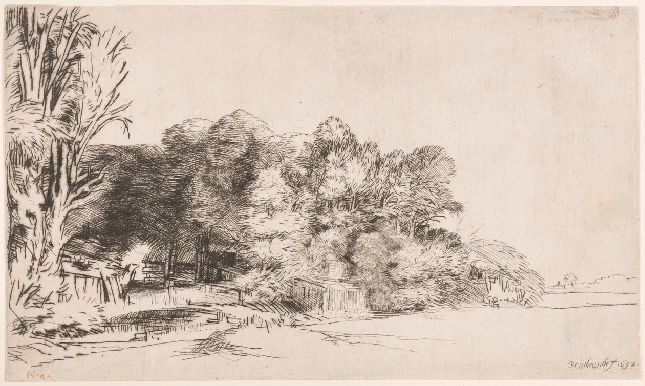 Puuryökkä Vistalla tekijältä Rembrandt van Rijn