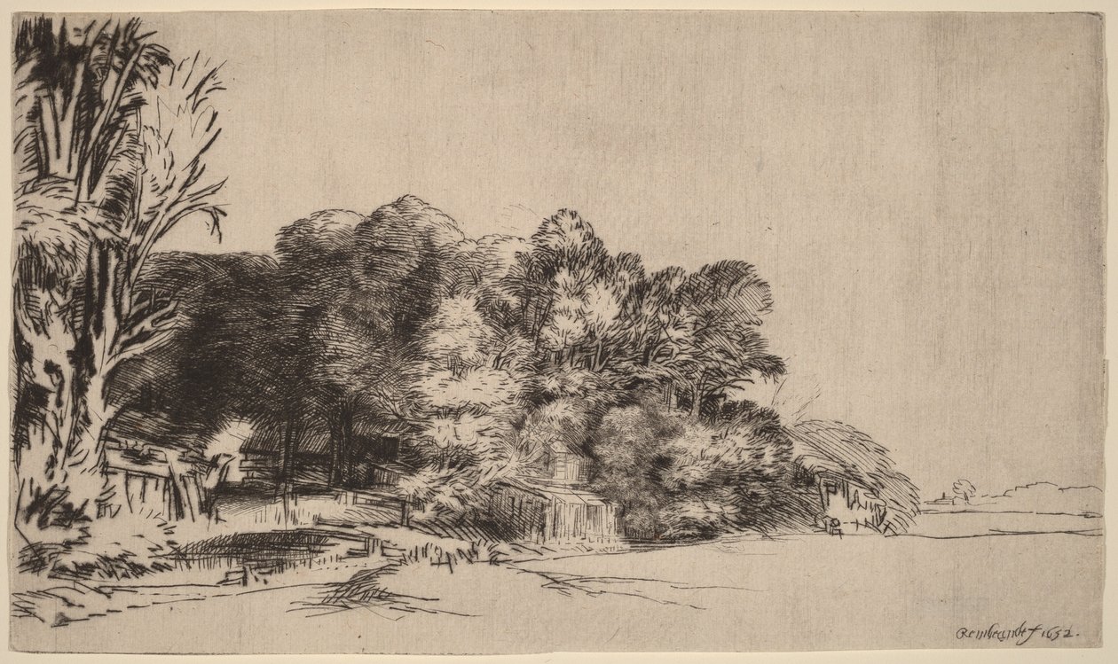 Puuryhmä, josta avautuu näkymä tekijältä Rembrandt van Rijn