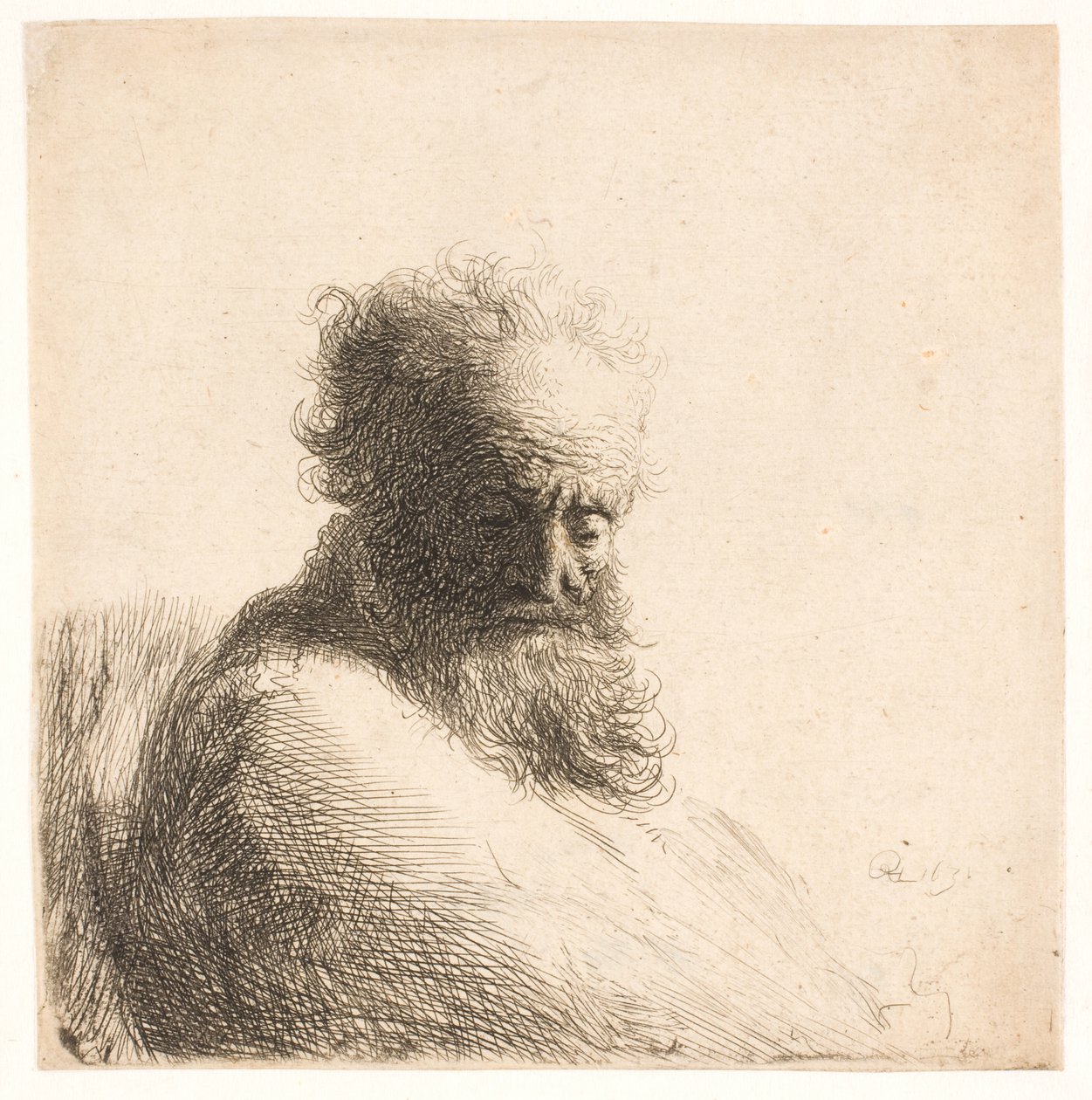 Vanha parrakas mies. Rintakuva tekijältä Rembrandt van Rijn