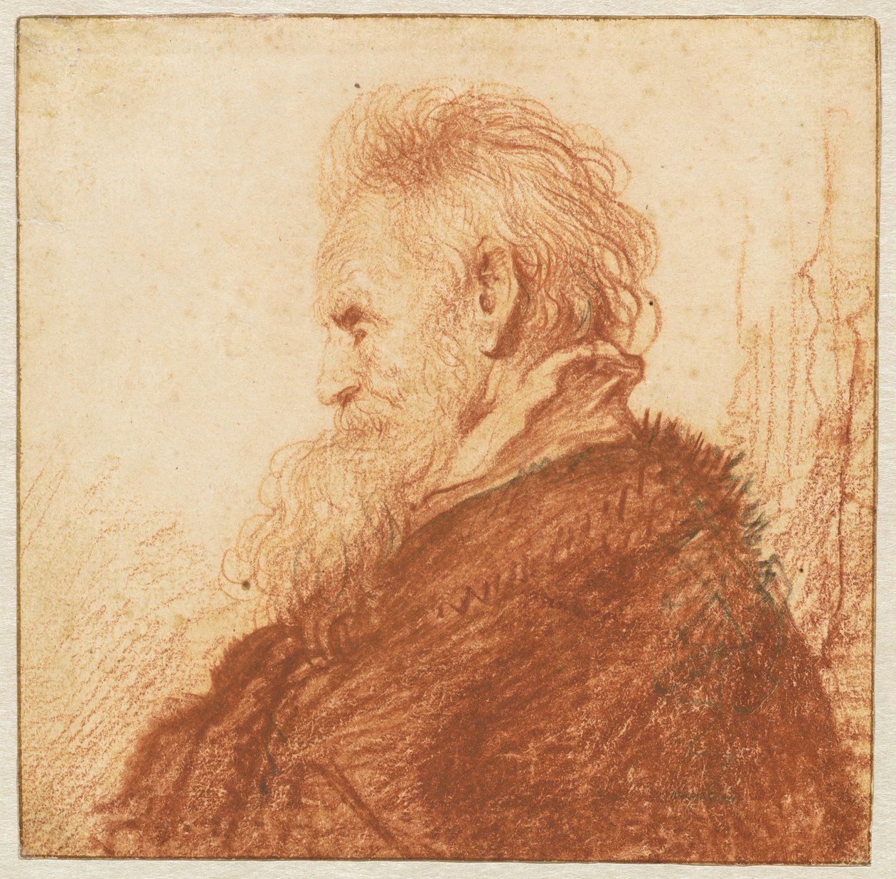 Vanhan miehen pää (recto) tekijältä Rembrandt van Rijn