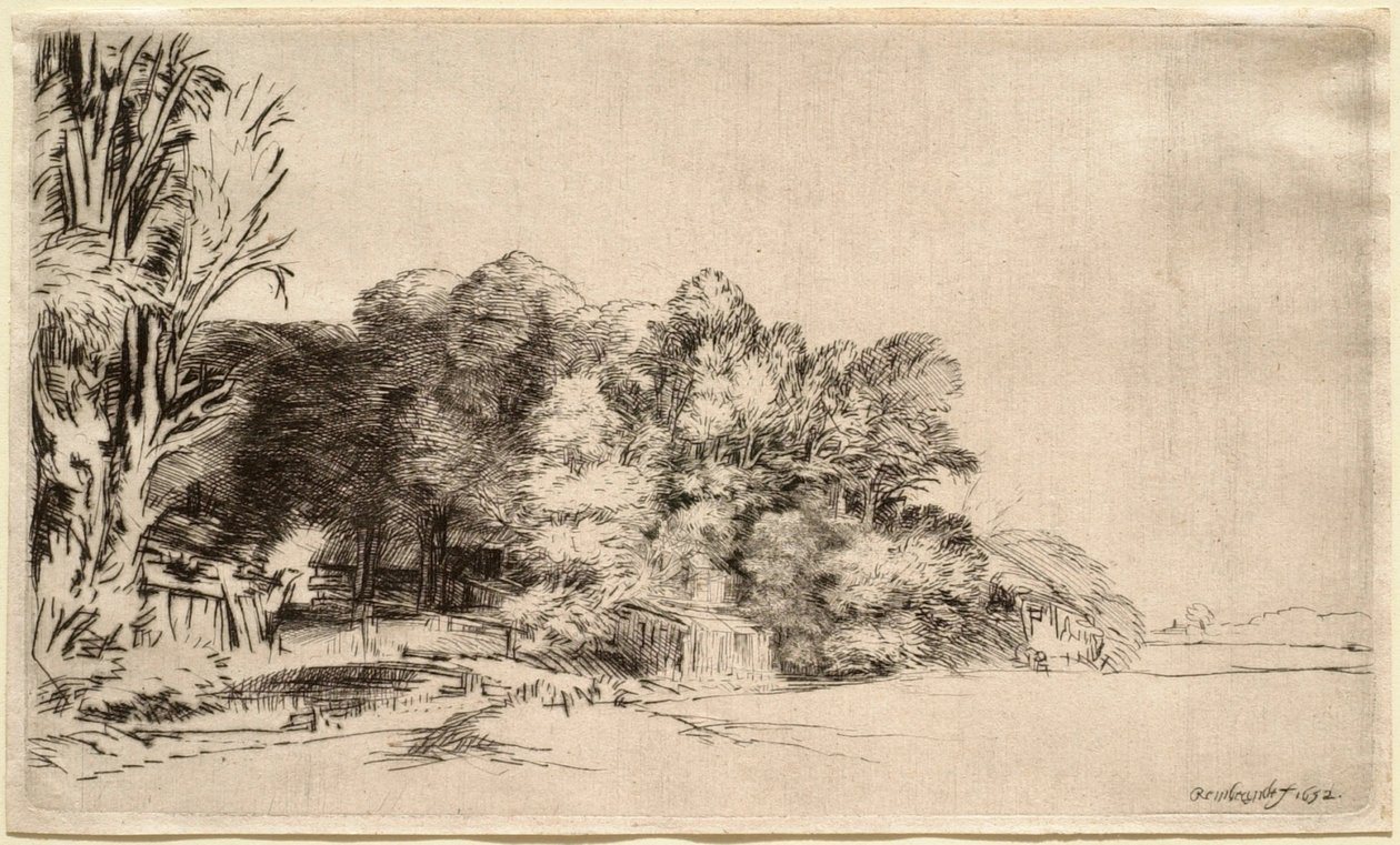 Maisema ja puuryhmä tekijältä Rembrandt van Rijn