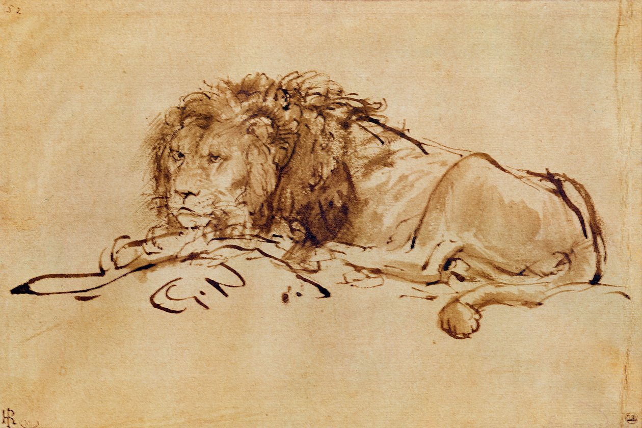 Leijona lepää (tussi ja tussi paperille) tekijältä Rembrandt van Rijn