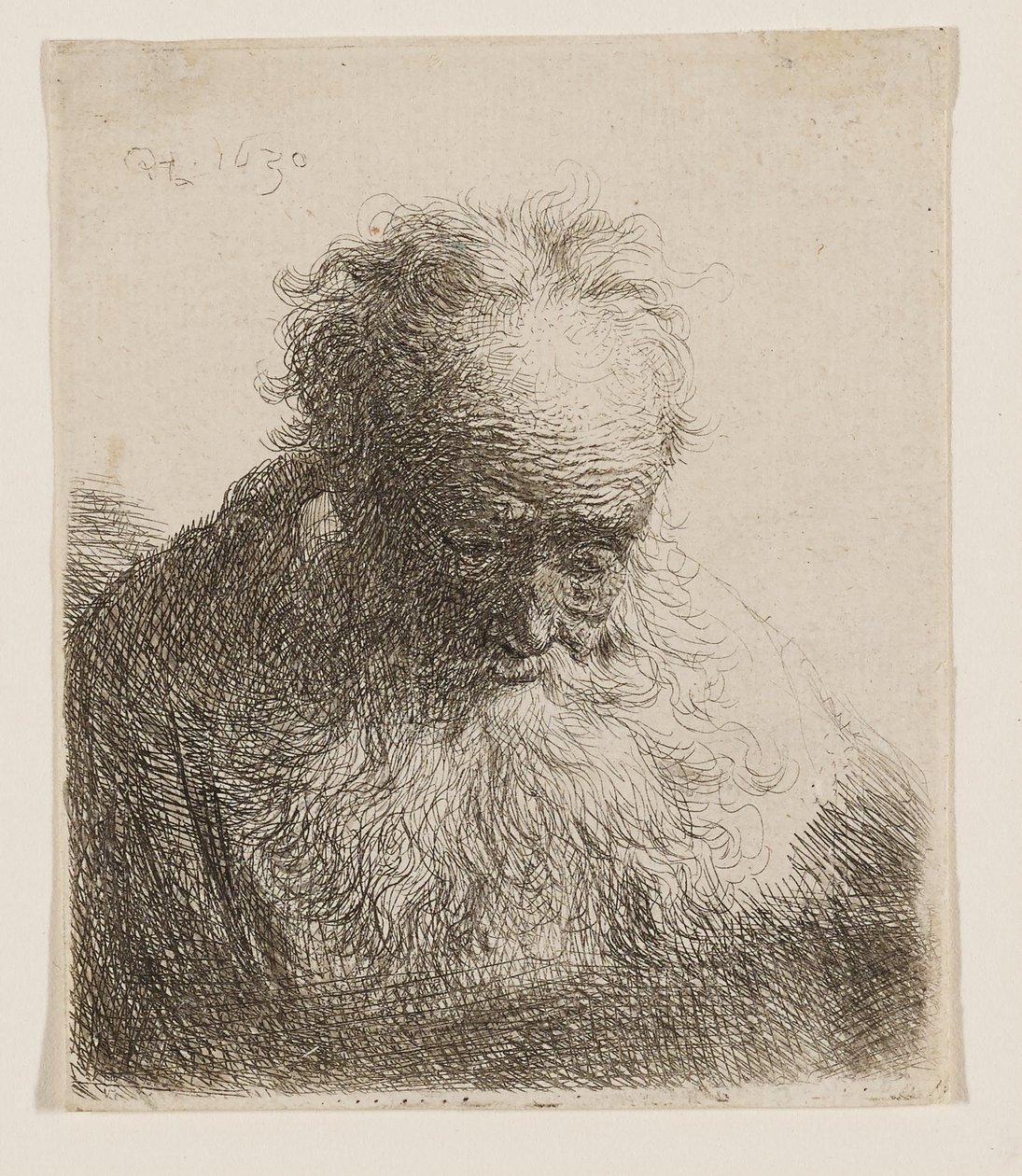 Vanha mies, jolla on tuuhea parta (pää kumartuneena eteenpäin, vasen olkapää varjostamaton) tekijältä Rembrandt van Rijn