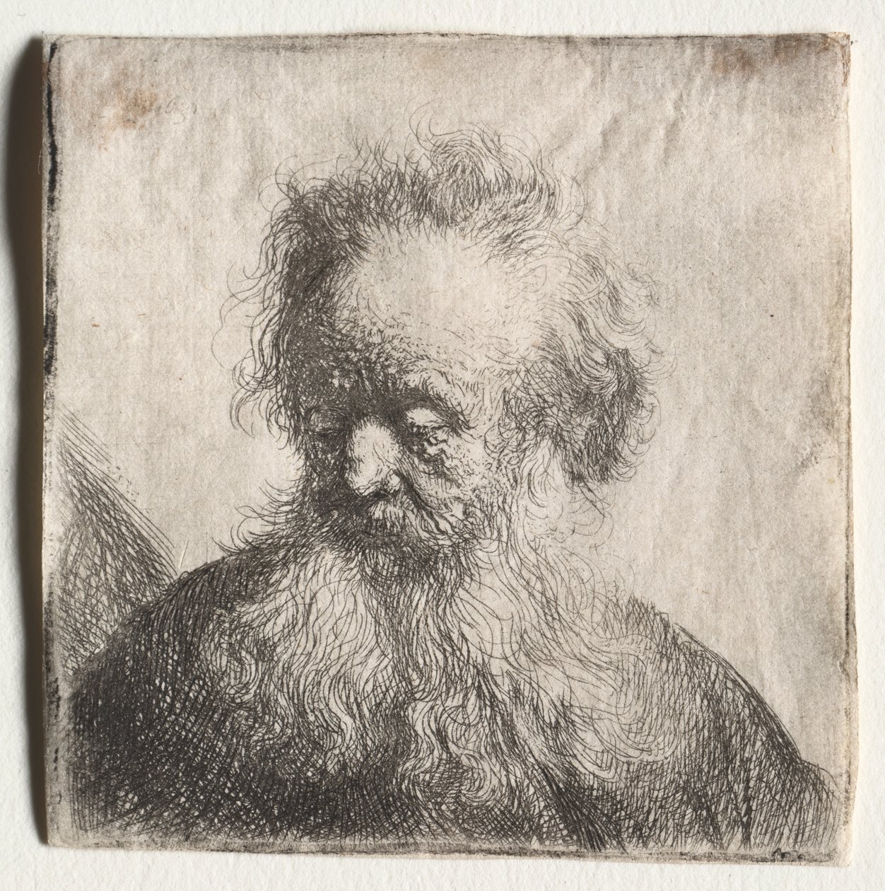 Vanhus, jolla on virtaava parta: Rintakuva tekijältä Rembrandt van Rijn
