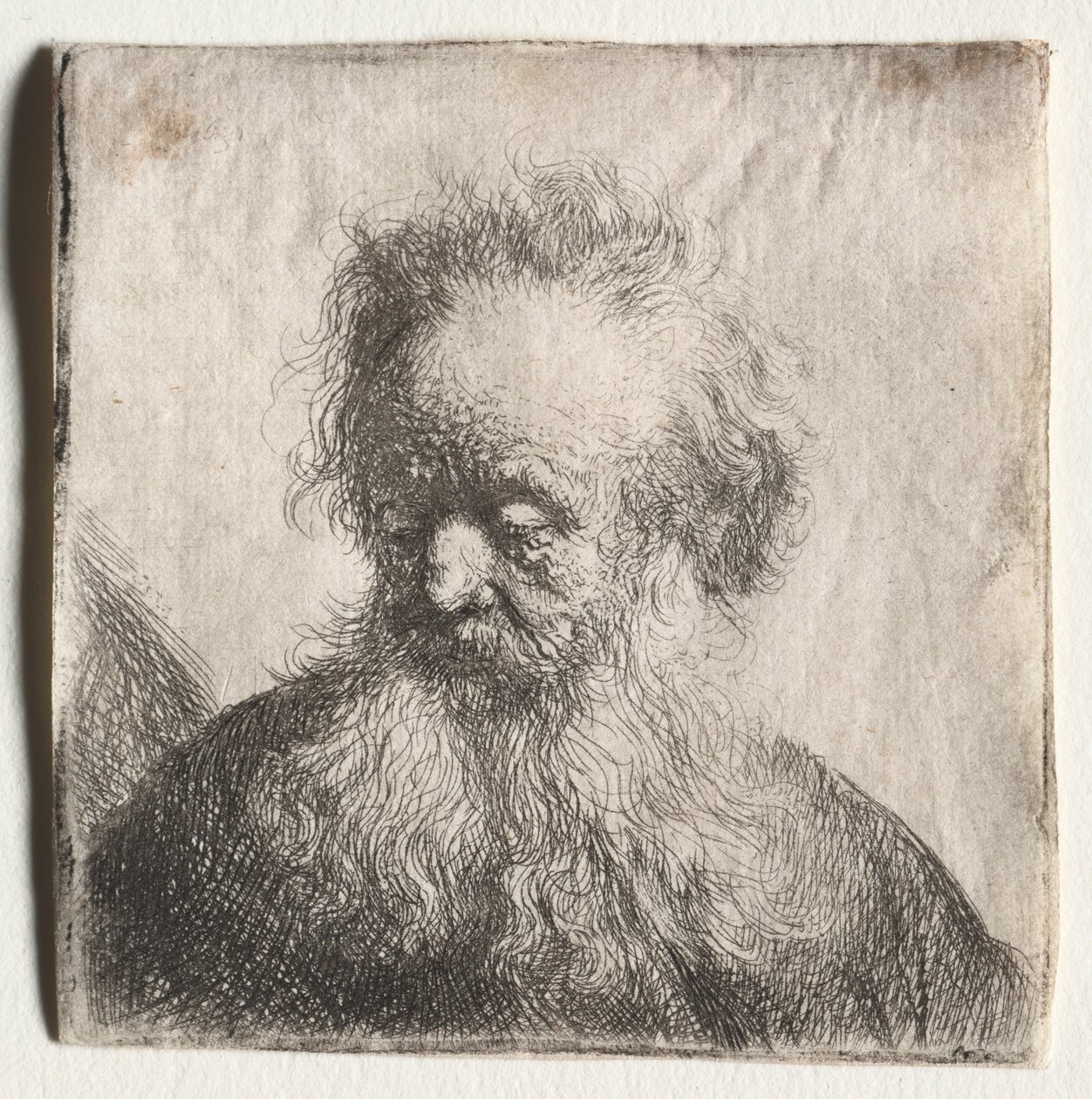 Vanhus leijuvalla partalla: Rintakuva, 1631. tekijältä Rembrandt van Rijn