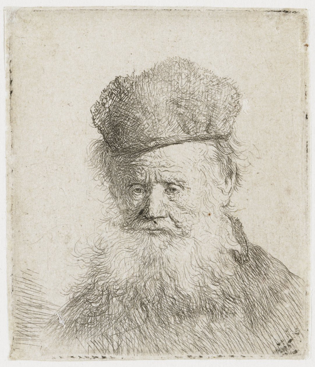 Vanha mies, jolla on turkislakki ja pitkä parta tekijältä Rembrandt van Rijn