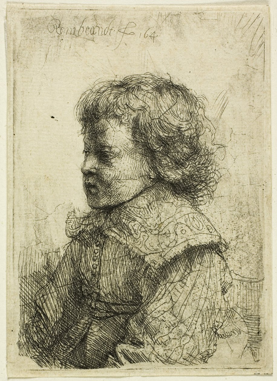 Pojan muotokuva tekijältä Rembrandt van Rijn