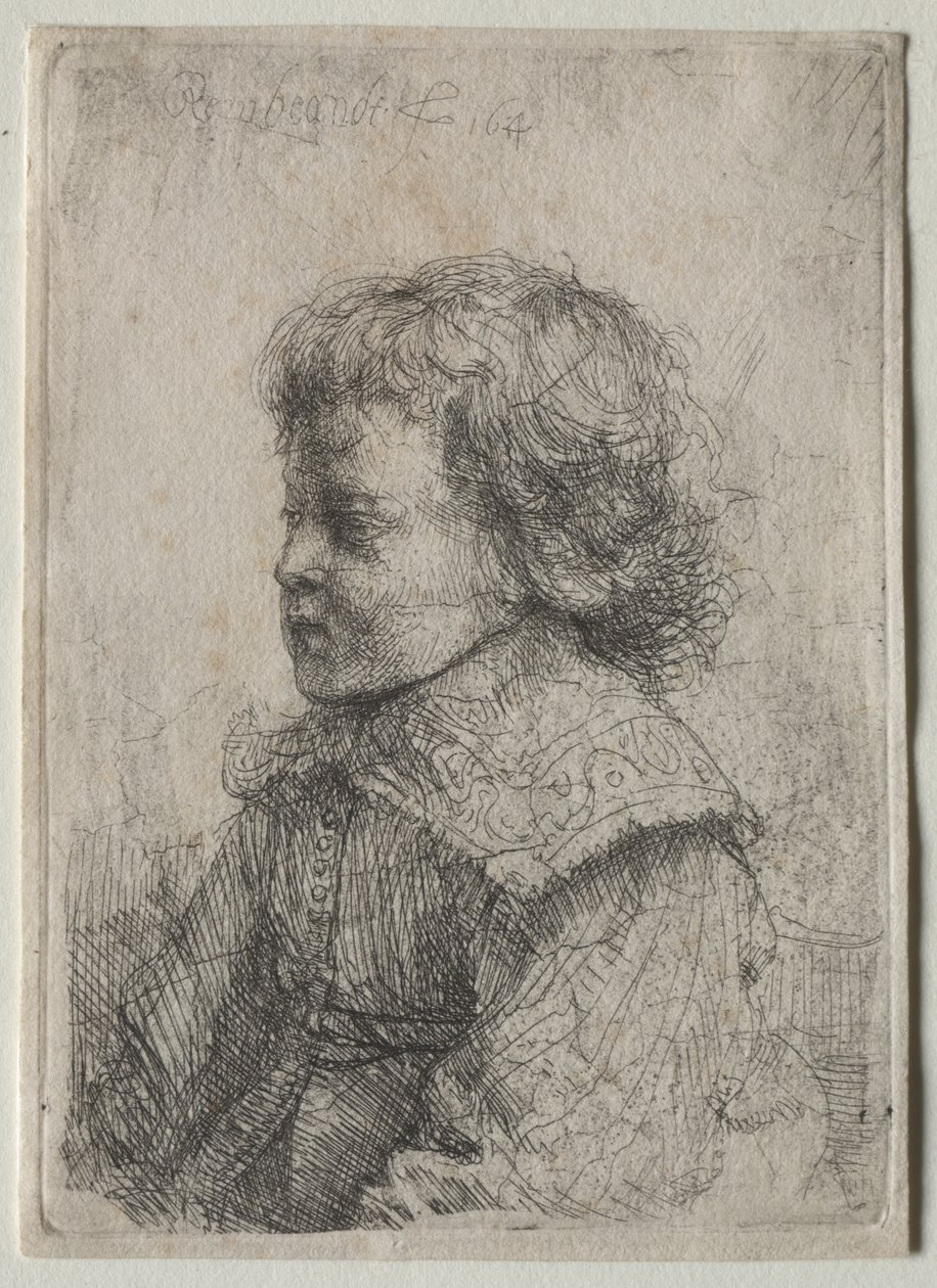 Pojan muotokuva profiilissa tekijältä Rembrandt van Rijn