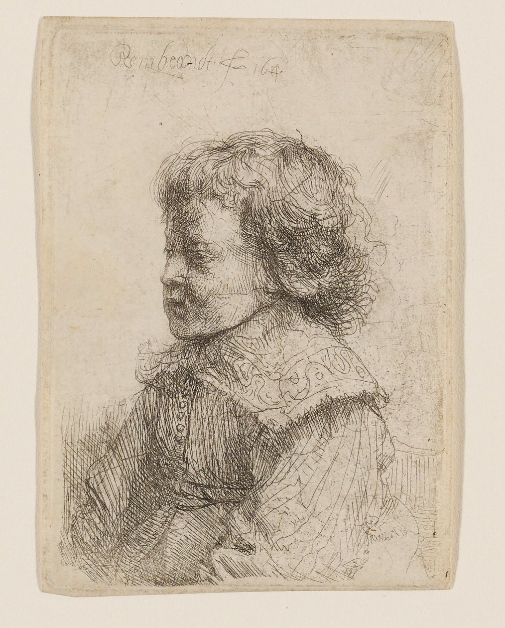 Poikien profiilikuva tekijältä Rembrandt van Rijn