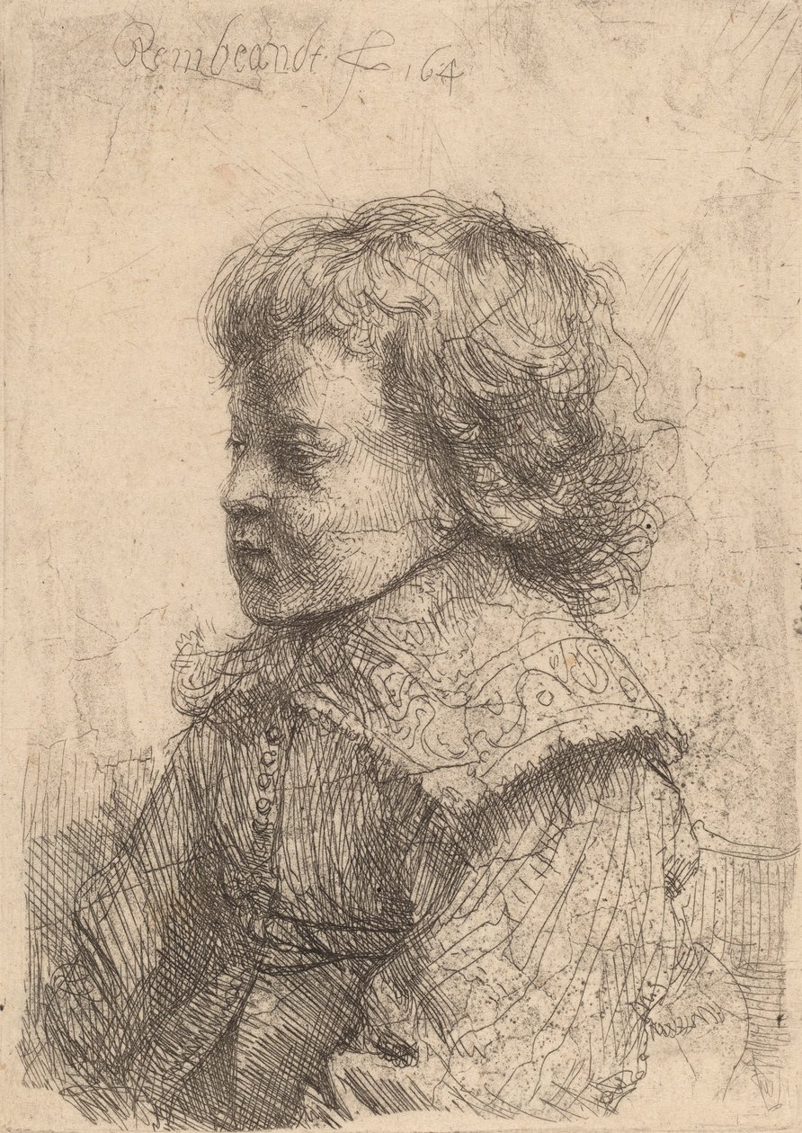 Pojan muotokuva profiilissa, 1641. tekijältä Rembrandt van Rijn