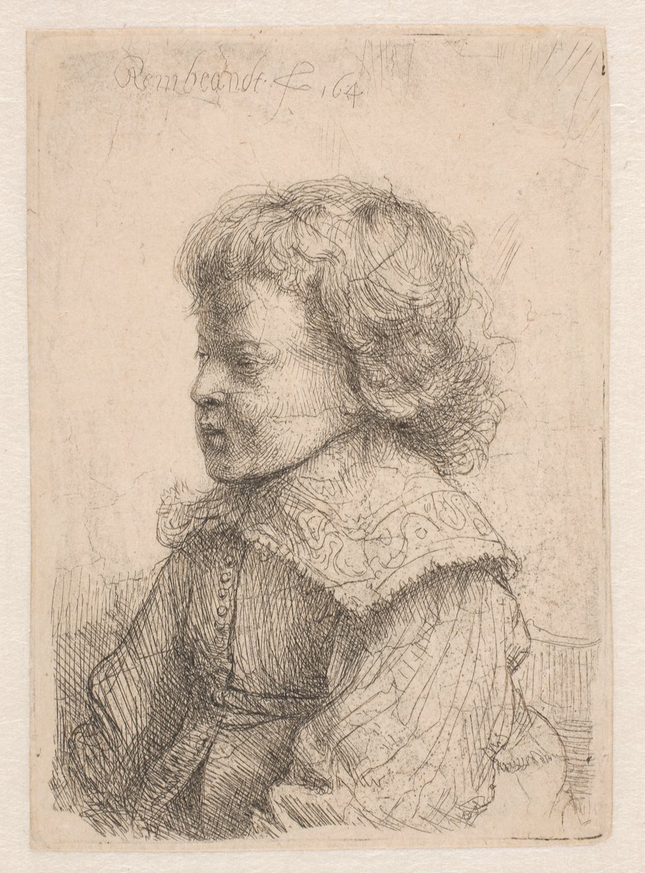 Poikien muotokuva, profiilista tekijältä Rembrandt van Rijn
