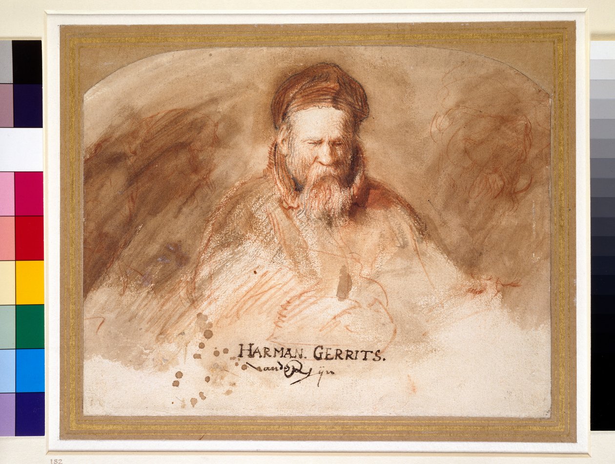 Vanhan miehen muotokuva, 1600-luku (liitu ja bistripesu) tekijältä Rembrandt van Rijn