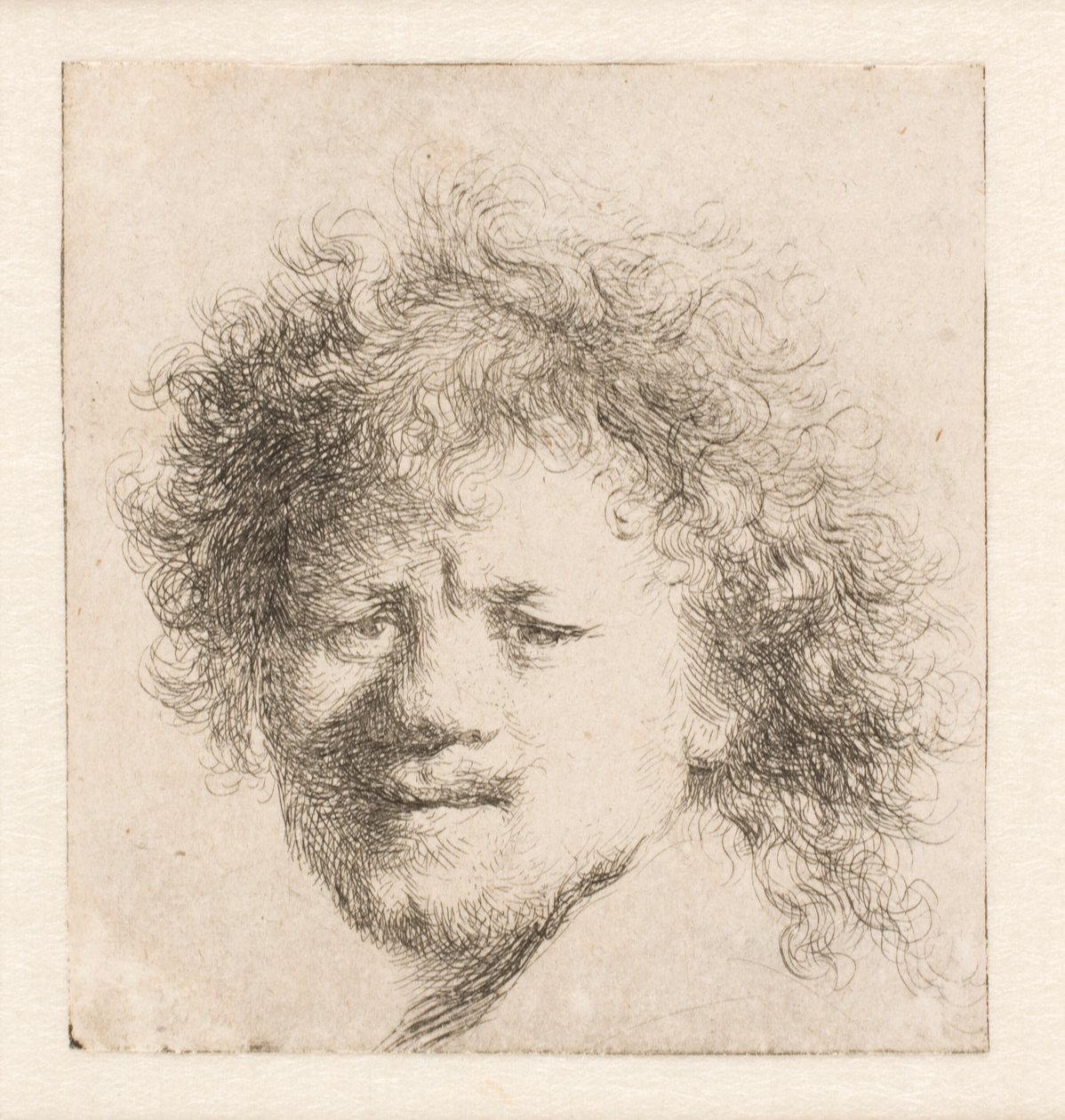 Rembrandt, jolla on pitkät, tuuheat hiukset: vain pää tekijältä Rembrandt van Rijn