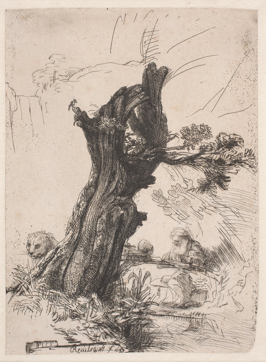 Pyhä Hieronymus karsitun pajun vieressä tekijältä Rembrandt van Rijn