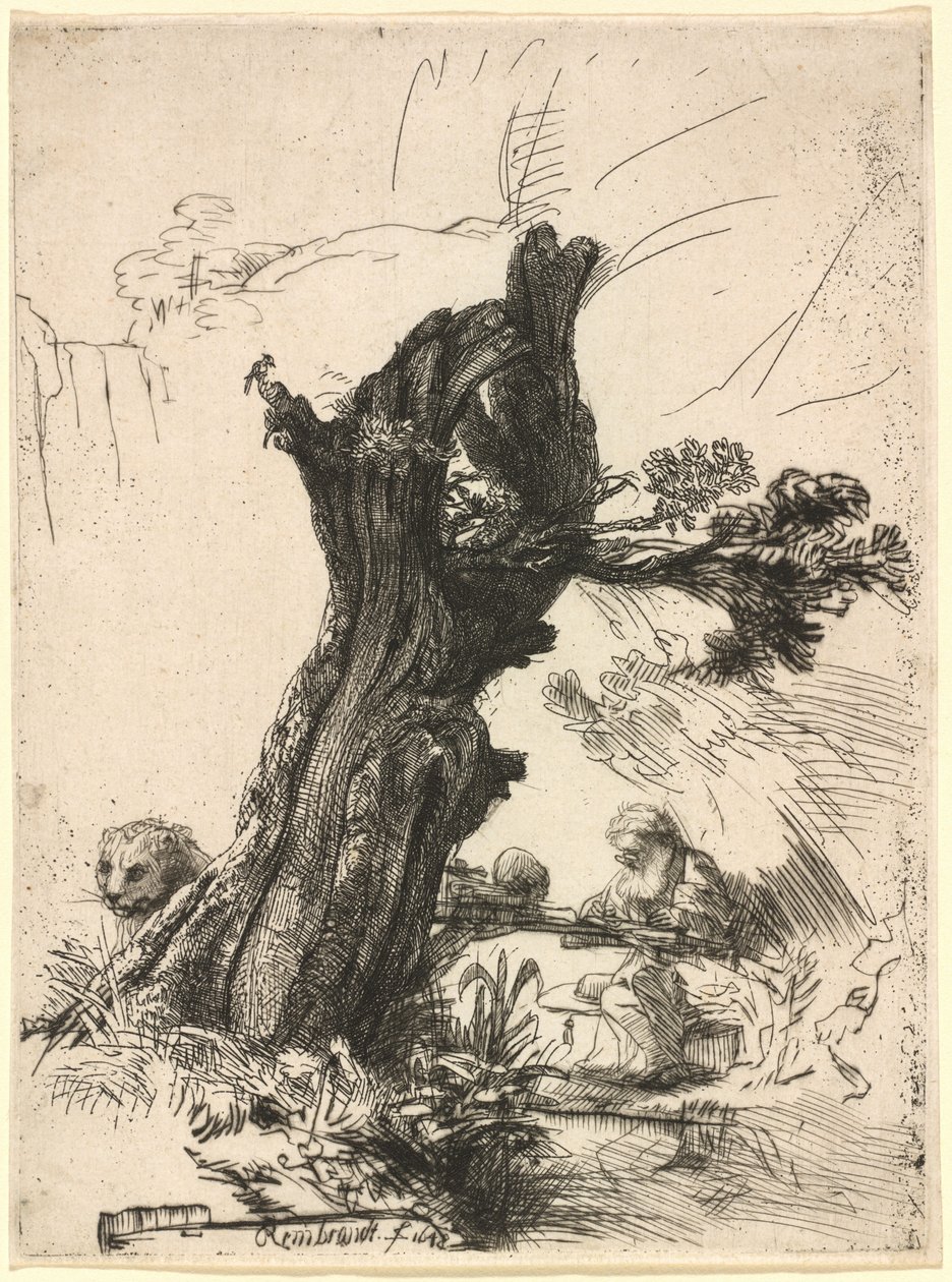 Pyhä Jerome pollardin pajun vieressä tekijältä Rembrandt van Rijn