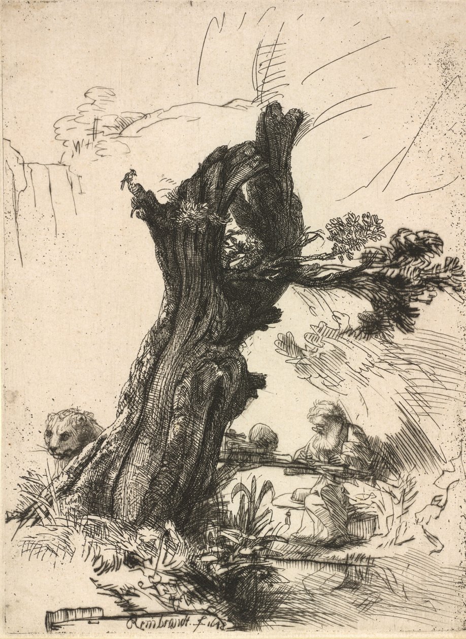 Pyhä Jerome Pollard Willow -pajun vieressä, 1648. tekijältä Rembrandt van Rijn