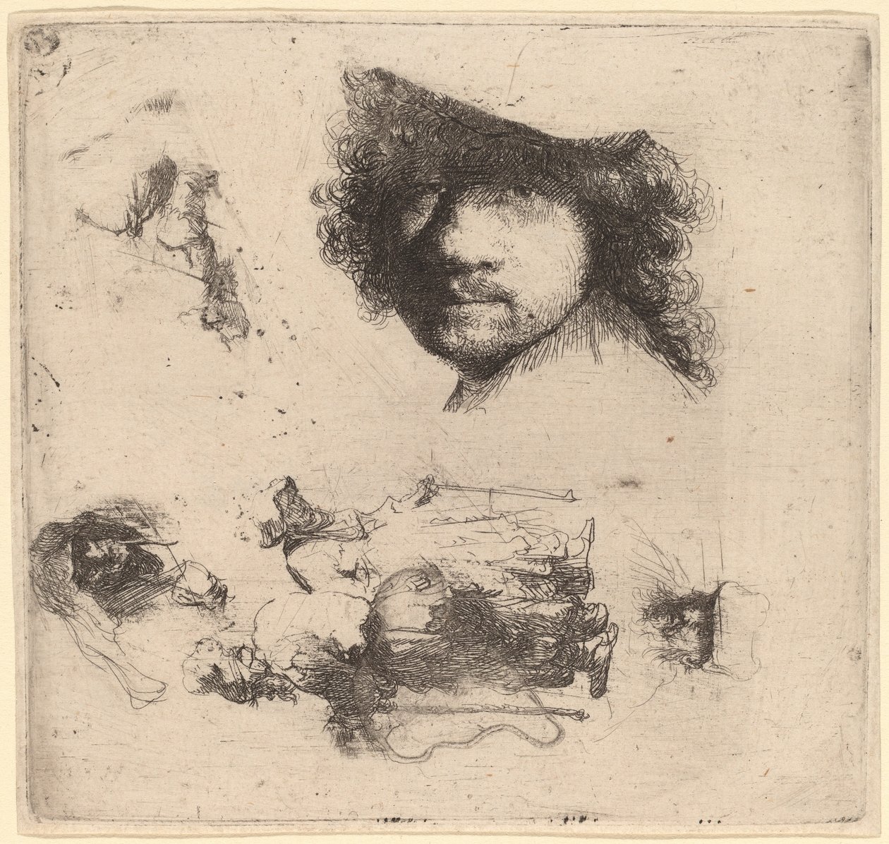 Tutkimusarkki, joka sisältää taiteilijan johtajan, kerjäläisparin, vanhan miehen ja vanhan naisen päät tekijältä Rembrandt van Rijn