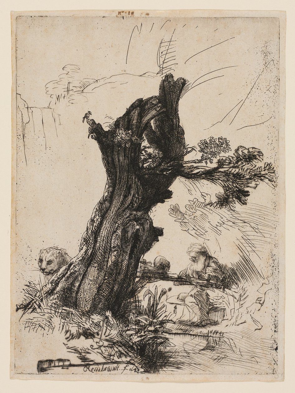 St. Jerome Pollard Willow -pajun vieressä tekijältä Rembrandt van Rijn