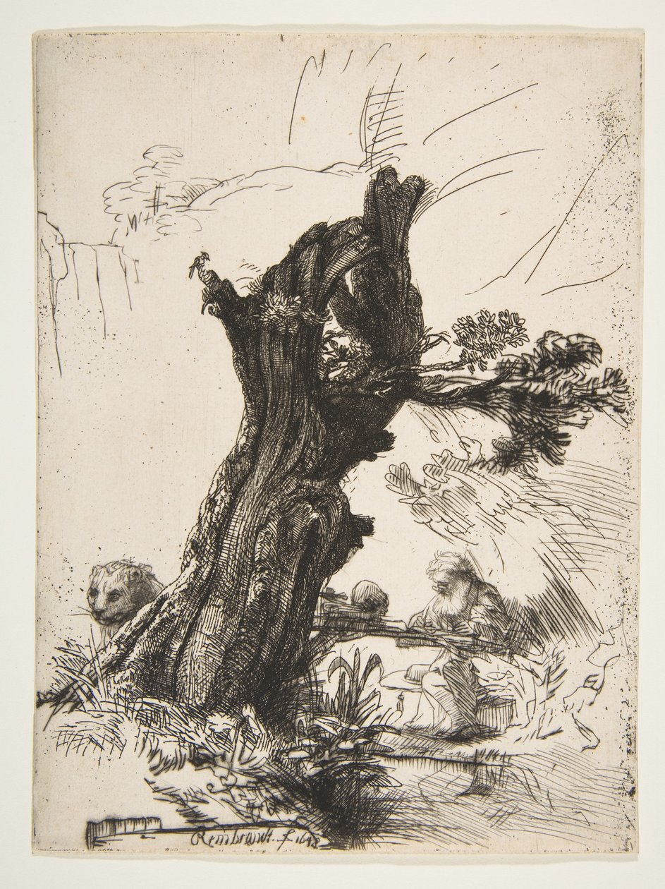 St. Jerome Pollard Willow