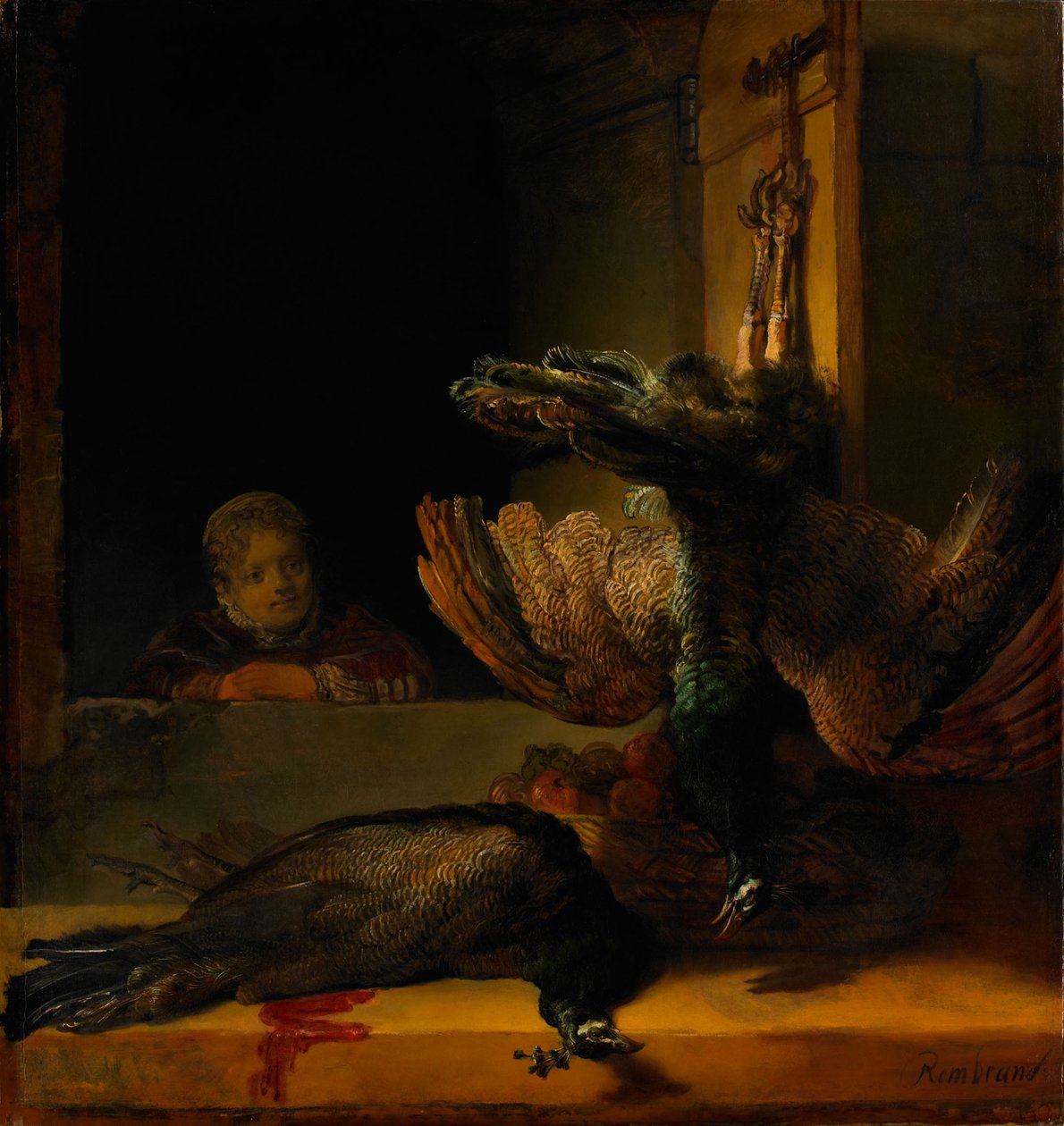 Asetelma kahden riikinkukon ja tytön kanssa, n. 1639 tekijältä Rembrandt van Rijn