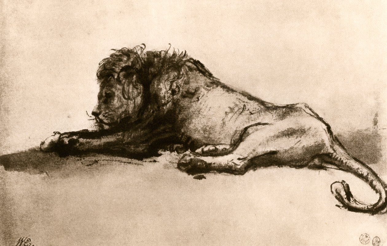 Leijonatutkimus, 1913. tekijältä Rembrandt van Rijn