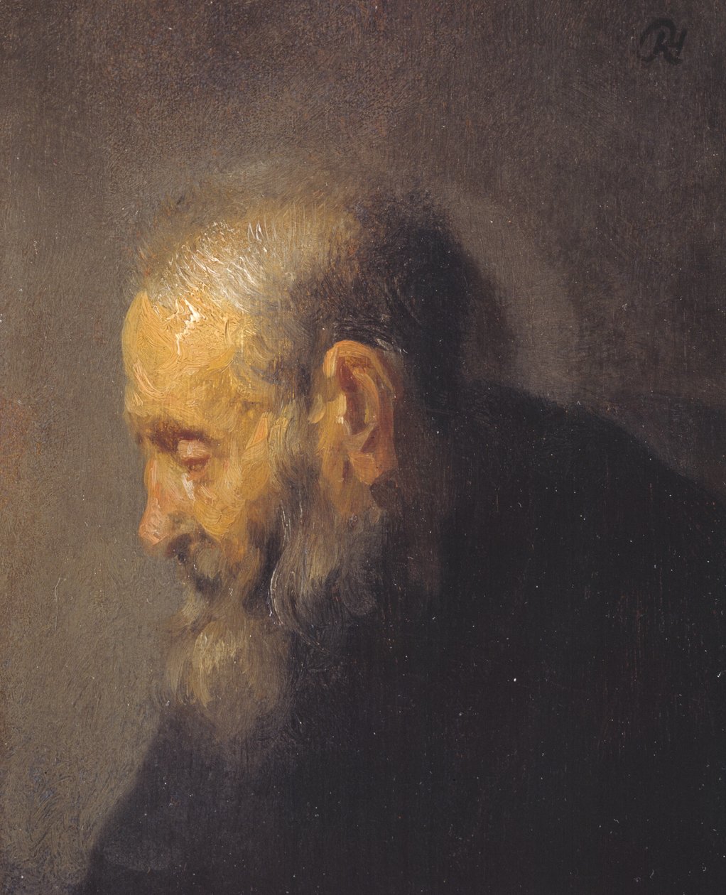 Tutkimus vanhasta miehestä profiilissa tekijältä Rembrandt van Rijn
