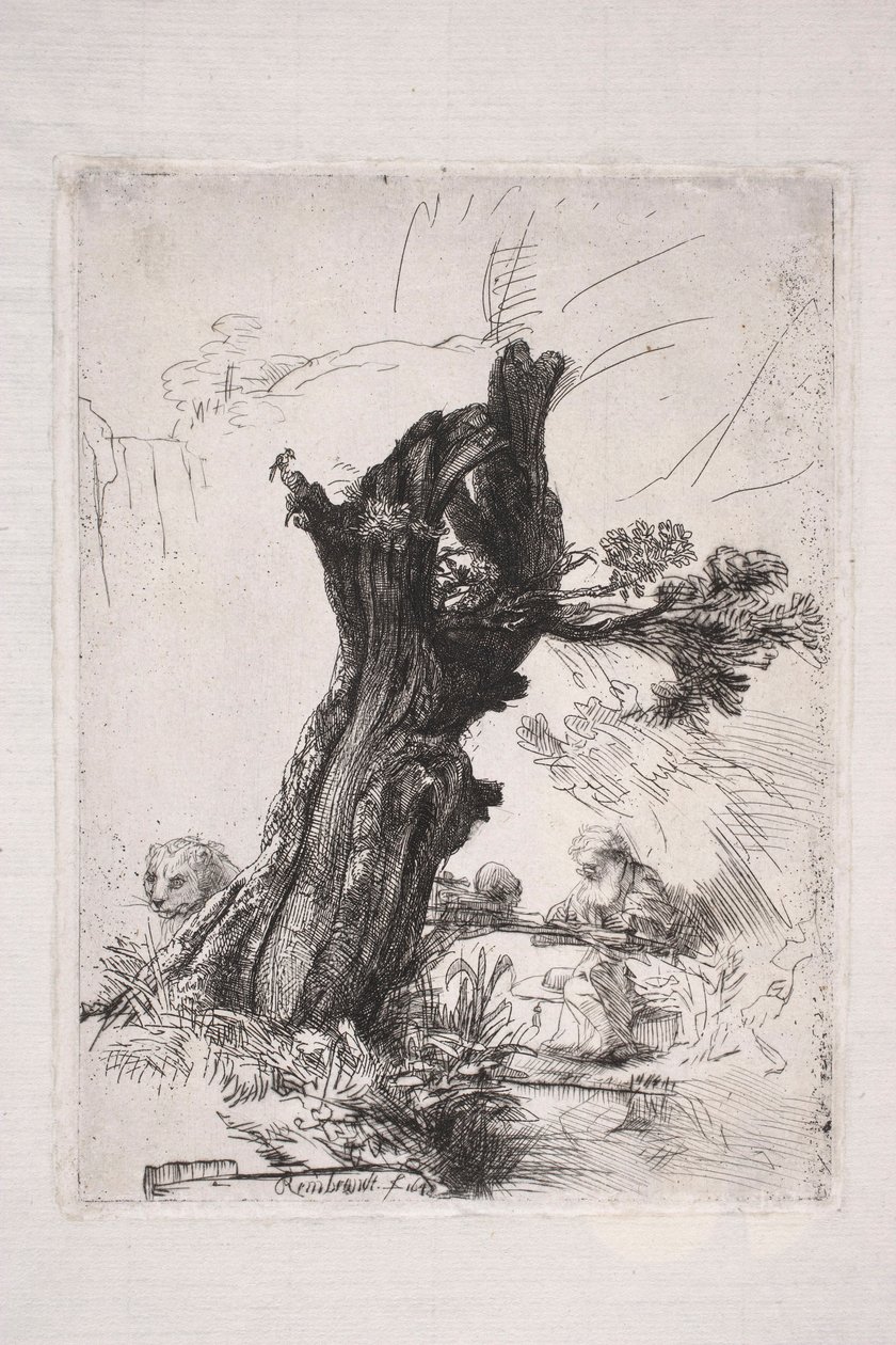 Pyhä Hieronymus kirjoittamassa pajunrungon vieressä tekijältä Rembrandt van Rijn