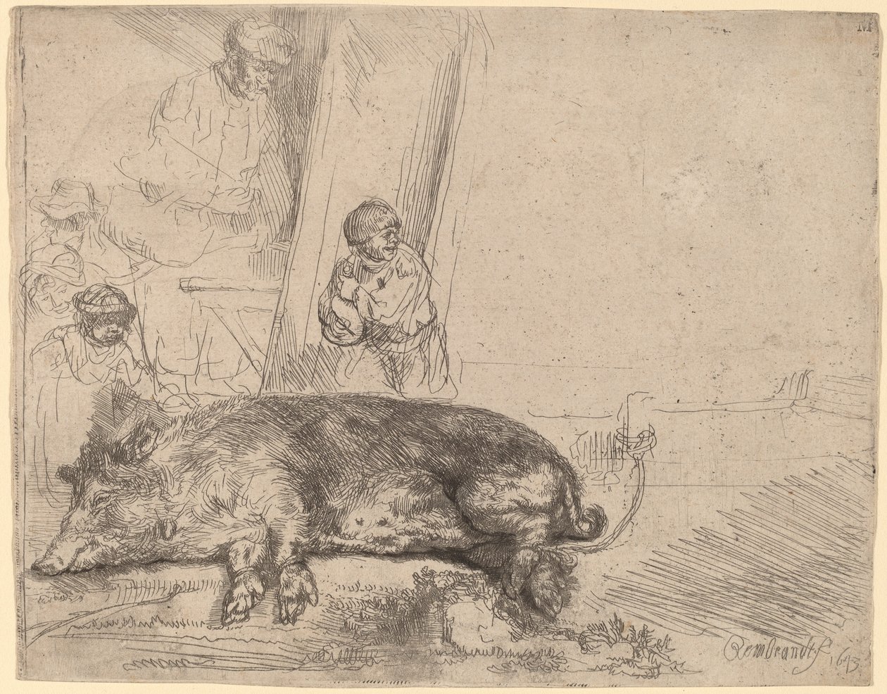 Hog tekijältä Rembrandt van Rijn