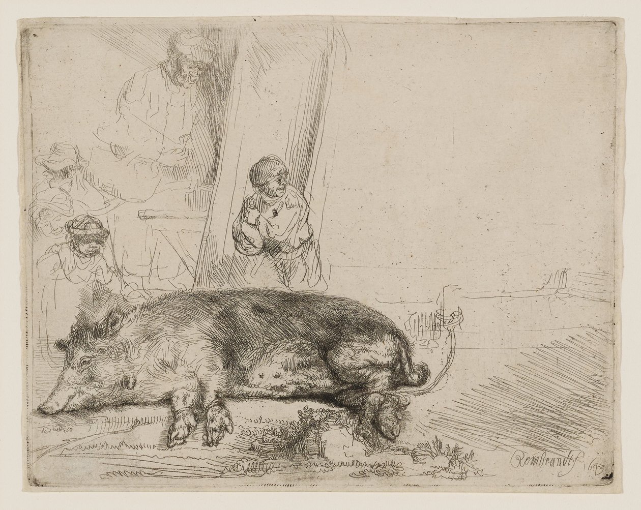 Hog tekijältä Rembrandt van Rijn