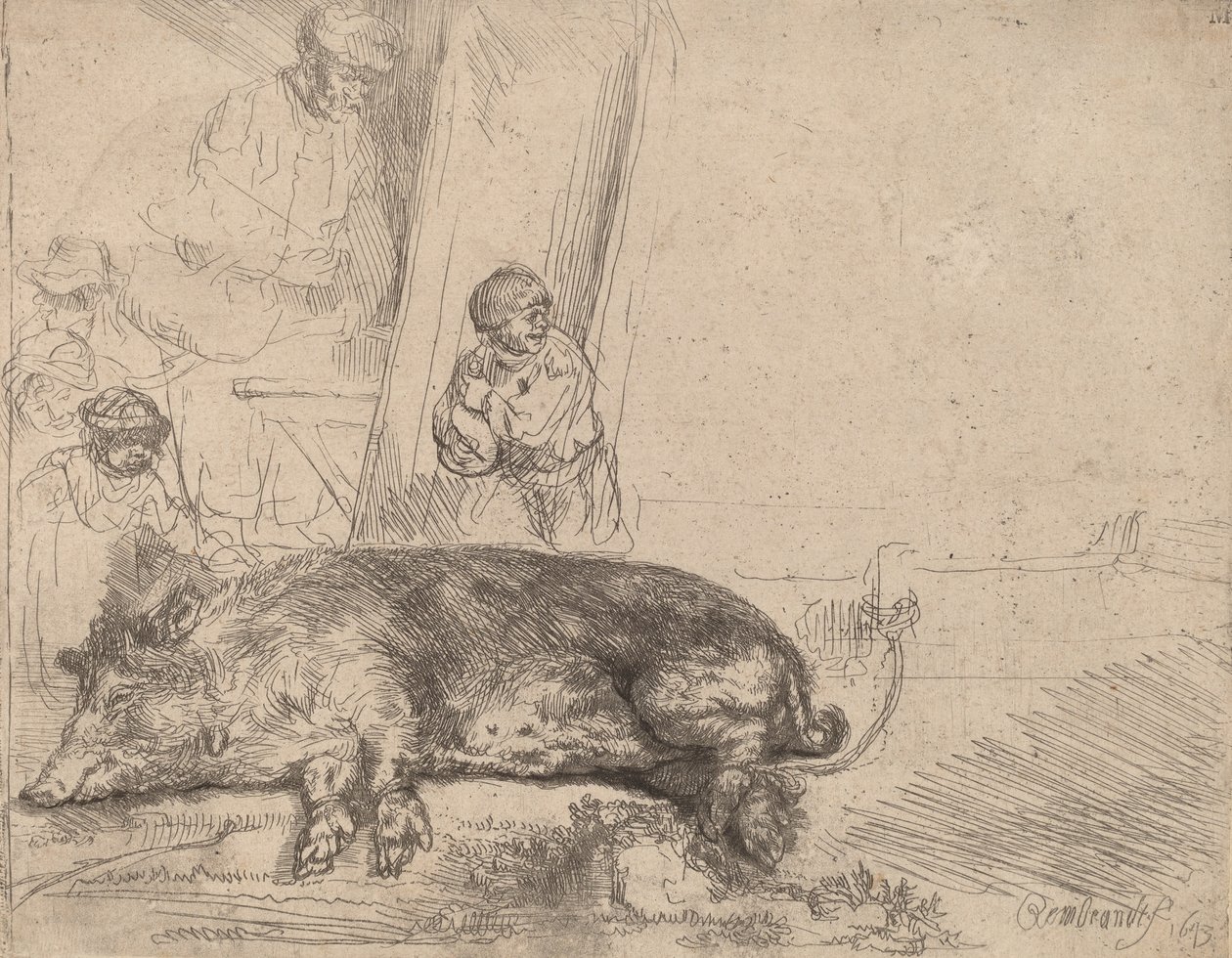 Hog, 1643. tekijältä Rembrandt van Rijn