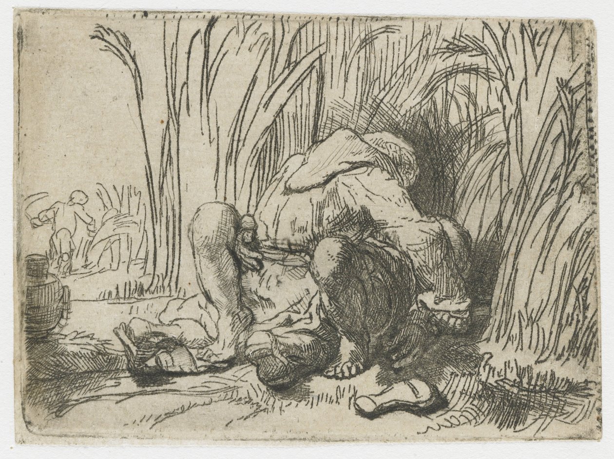 Munkki viljapellolla Munkki viljapellolla tekijältä Rembrandt van Rijn