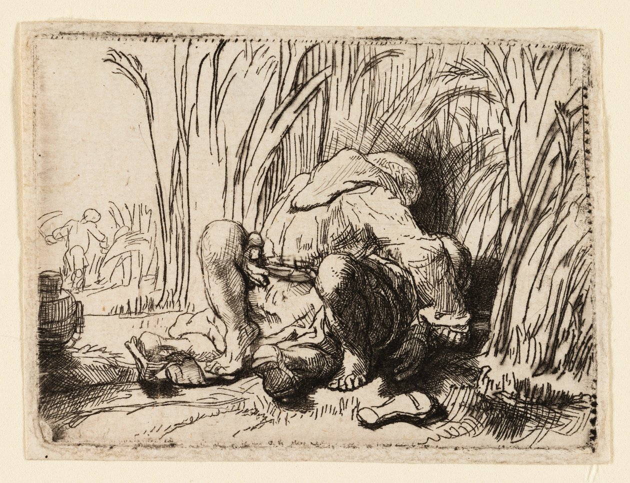 Munkki viljapellolla tekijältä Rembrandt van Rijn