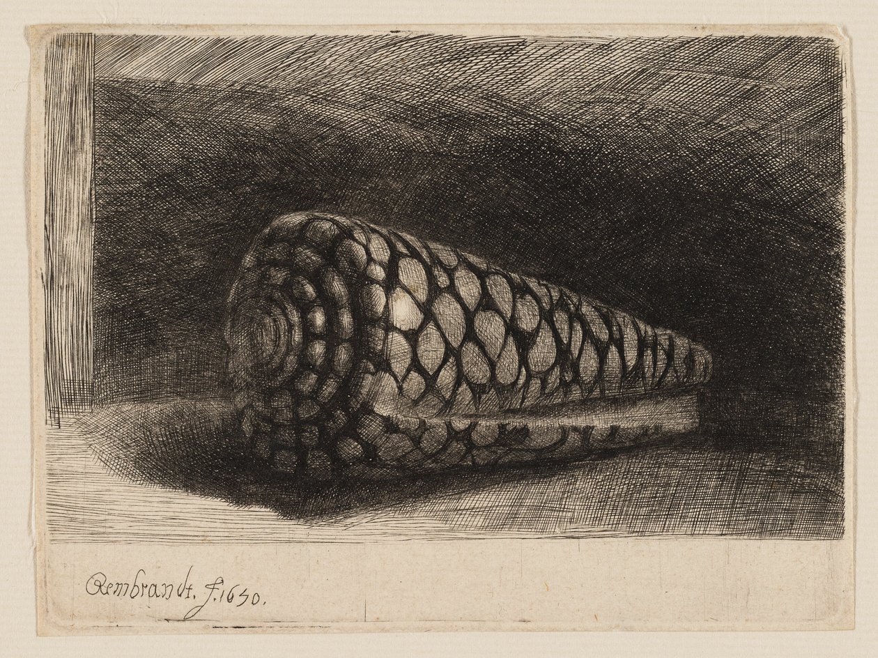 Kuori tekijältä Rembrandt van Rijn