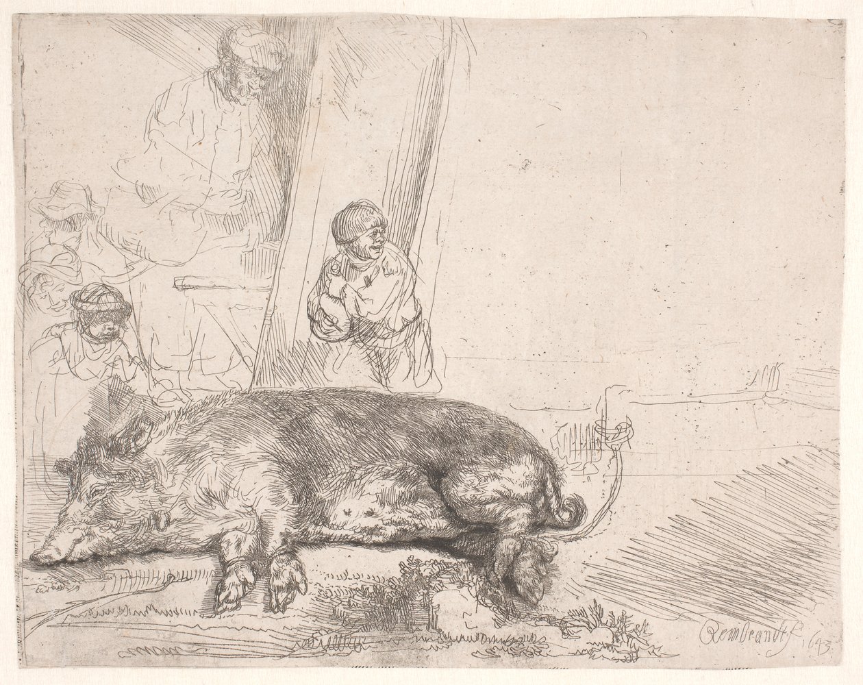 Sika tekijältä Rembrandt van Rijn
