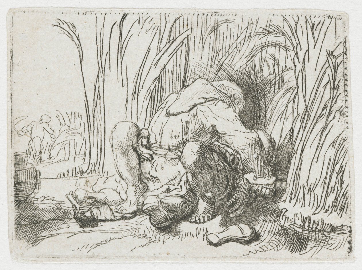 Munkki maissipellolla tekijältä Rembrandt van Rijn