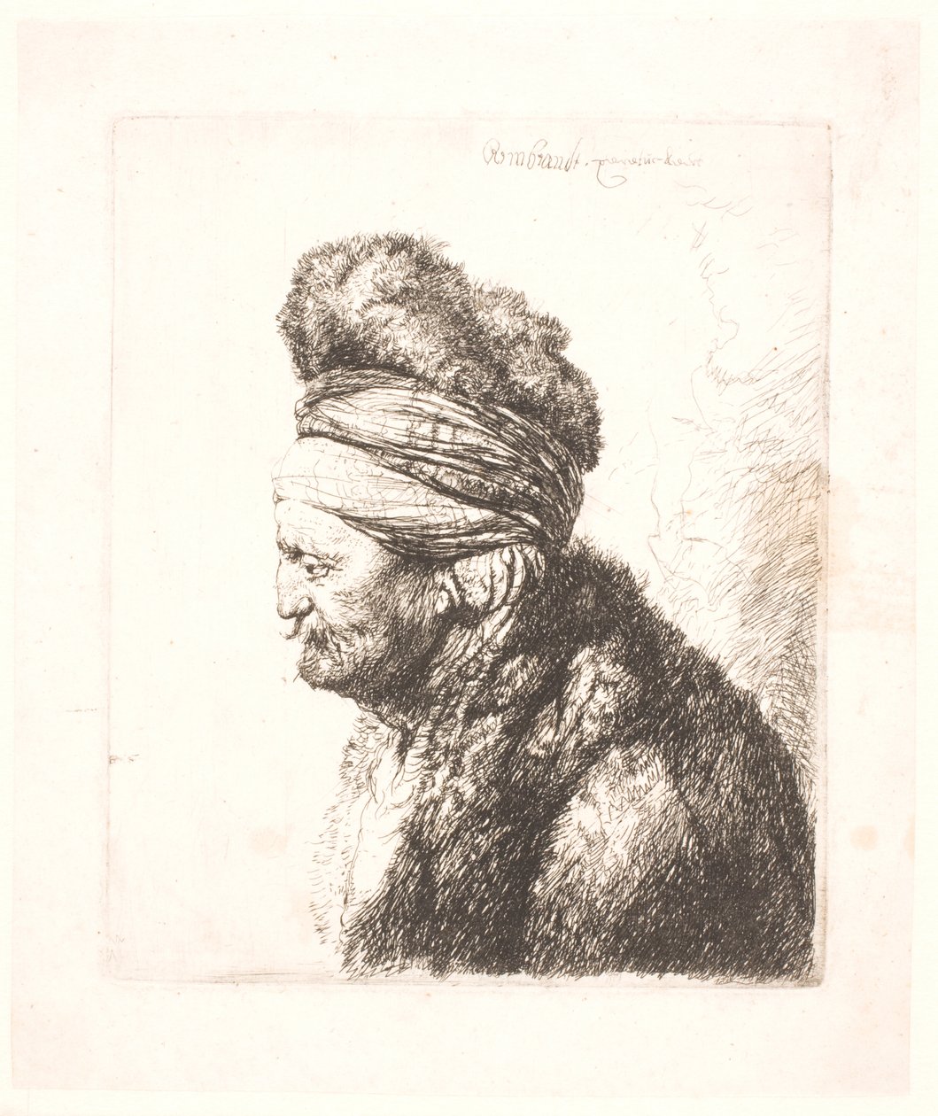 Toinen itämainen pää (Rembrandtin isä?) tekijältä Rembrandt van Rijn