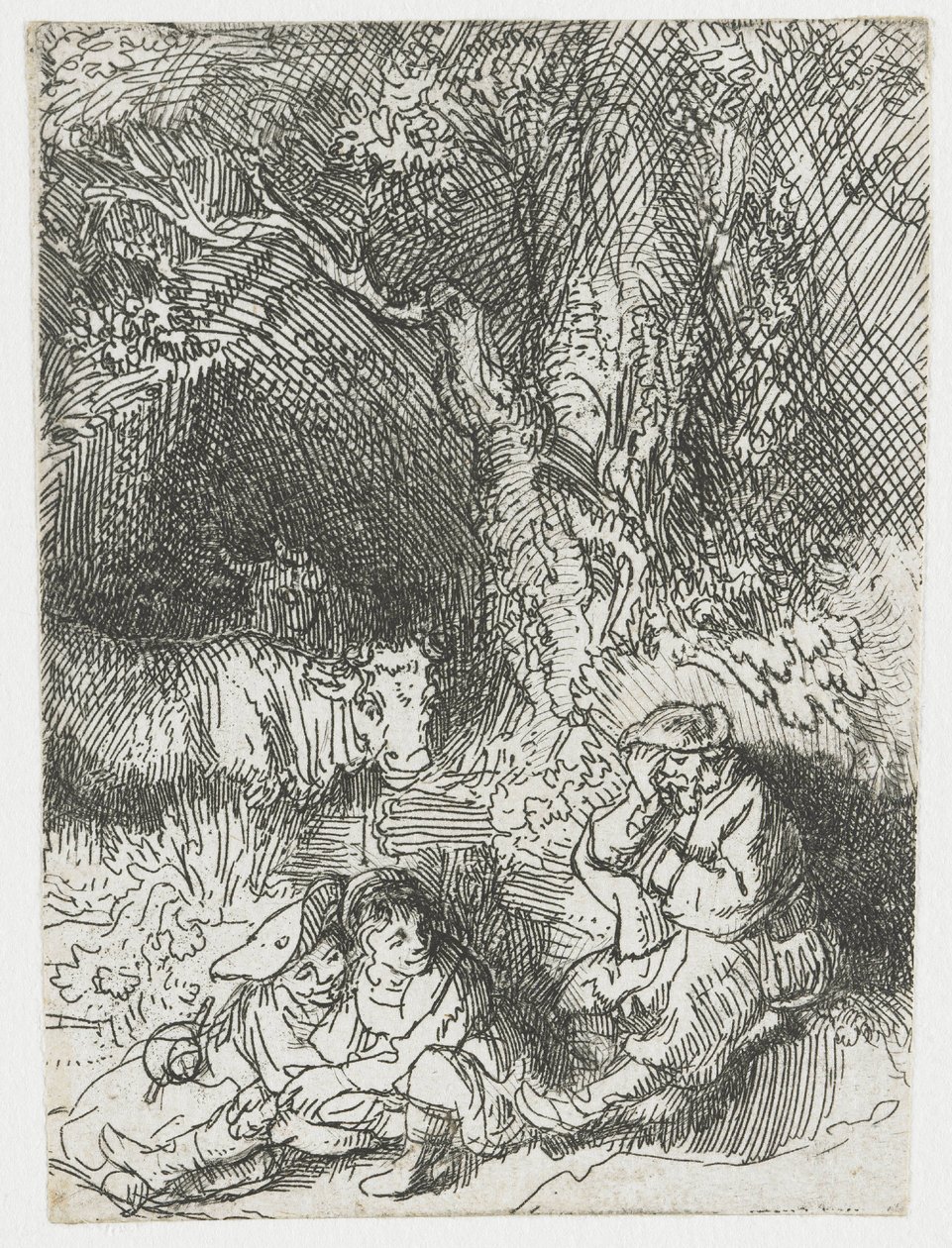 Nukkuva paimen tekijältä Rembrandt van Rijn