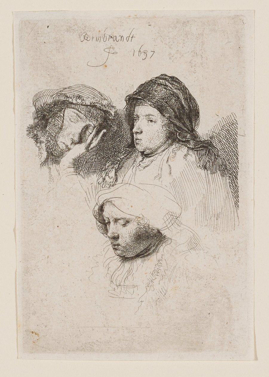 Kolme naisen päätä, joista yksi nukkuu tekijältä Rembrandt van Rijn