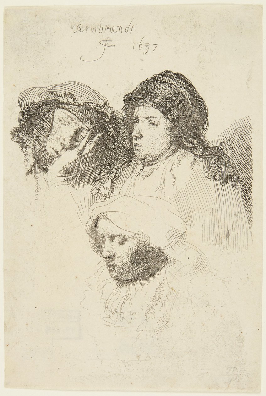 Kolmen naisen päät tekijältä Rembrandt van Rijn