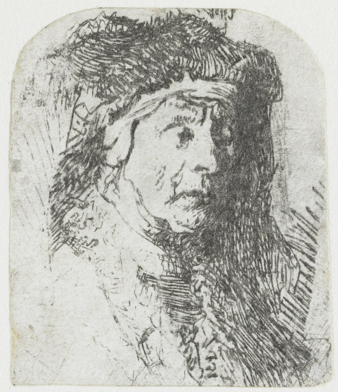 Nainen turkisreunaisessa viitassa Vanhan naisen rintakuva karvaisessa viitassa ja raskaassa päähineessä tekijältä Rembrandt van Rijn