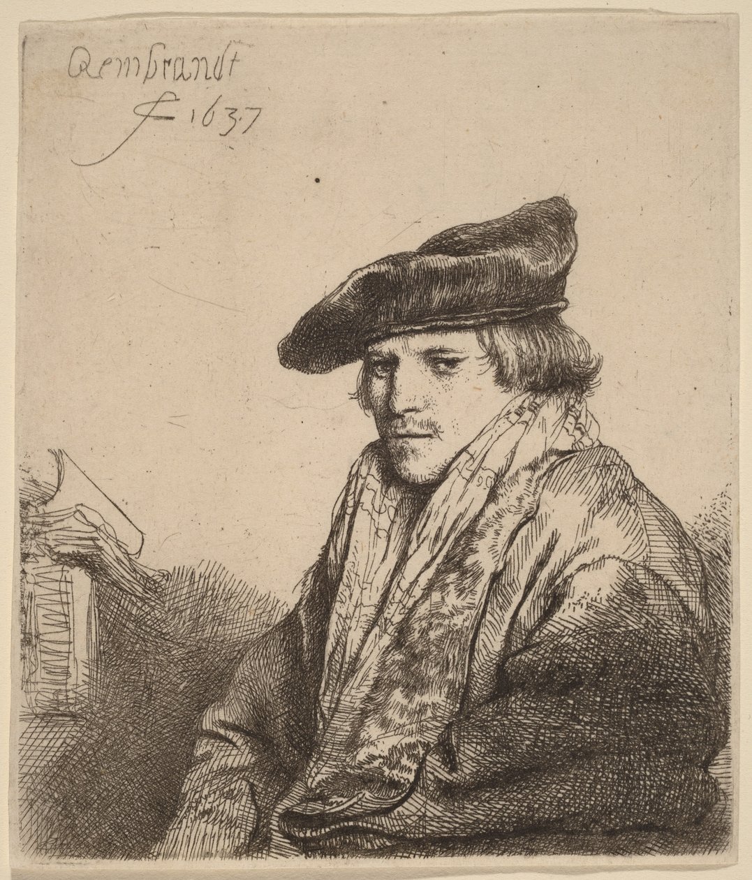 Nuori mies samettilakissa (Petrus Sylvius) tekijältä Rembrandt van Rijn