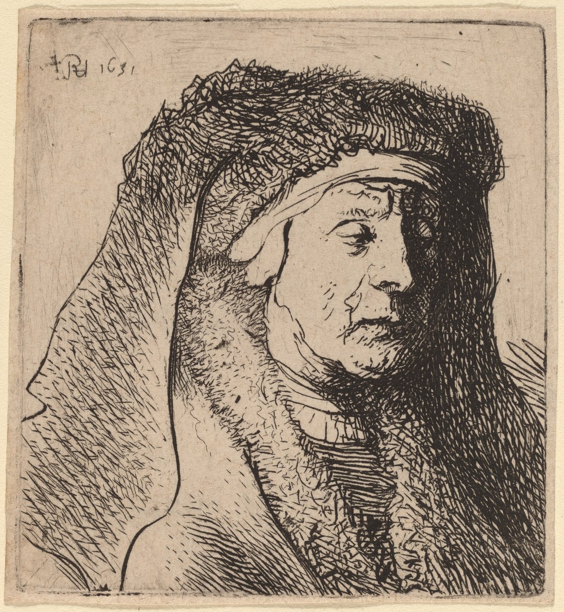 Vanhan naisen rintakuva karvaisessa viitassa ja raskaassa päähineessä tekijältä Rembrandt van Rijn and Studio of Rembrandt