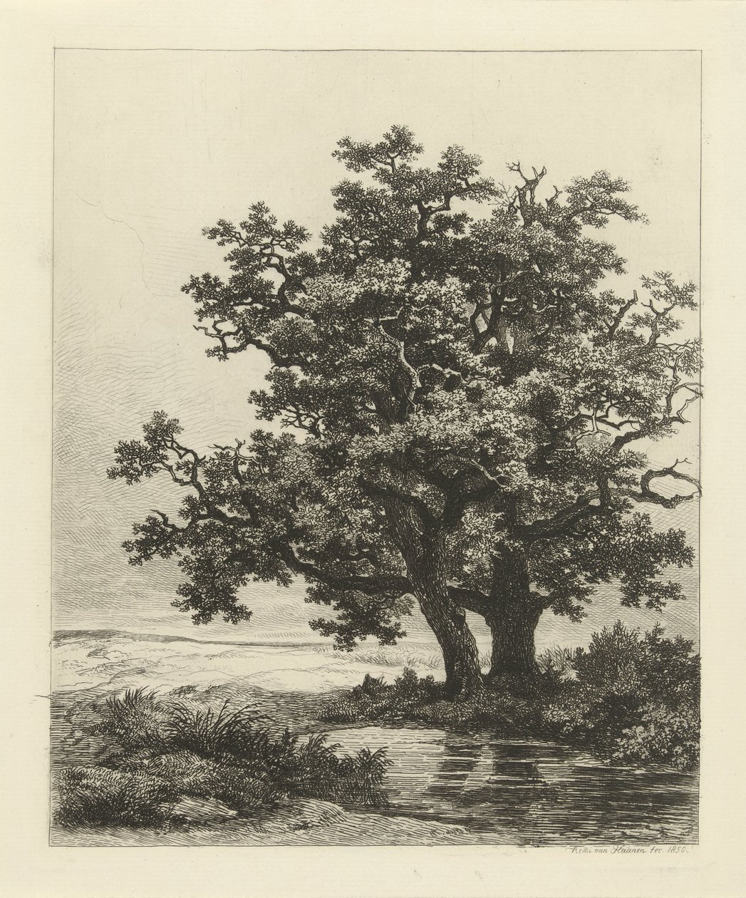 Kaksi tammea järvellä tekijältä Remigius Adrianus Haanen