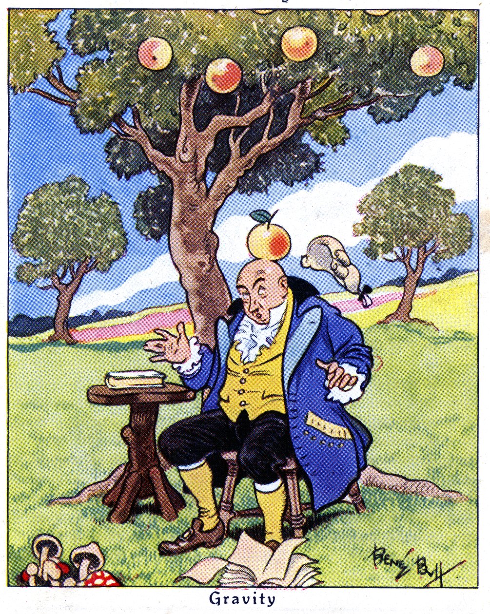 Isaac Newton löytää painovoiman, 1936 tekijältä René Bull