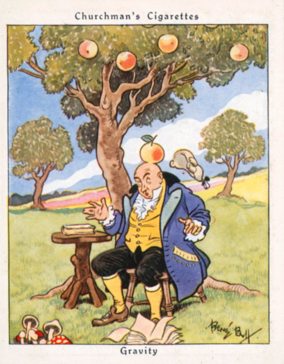  tekijältä René Bull