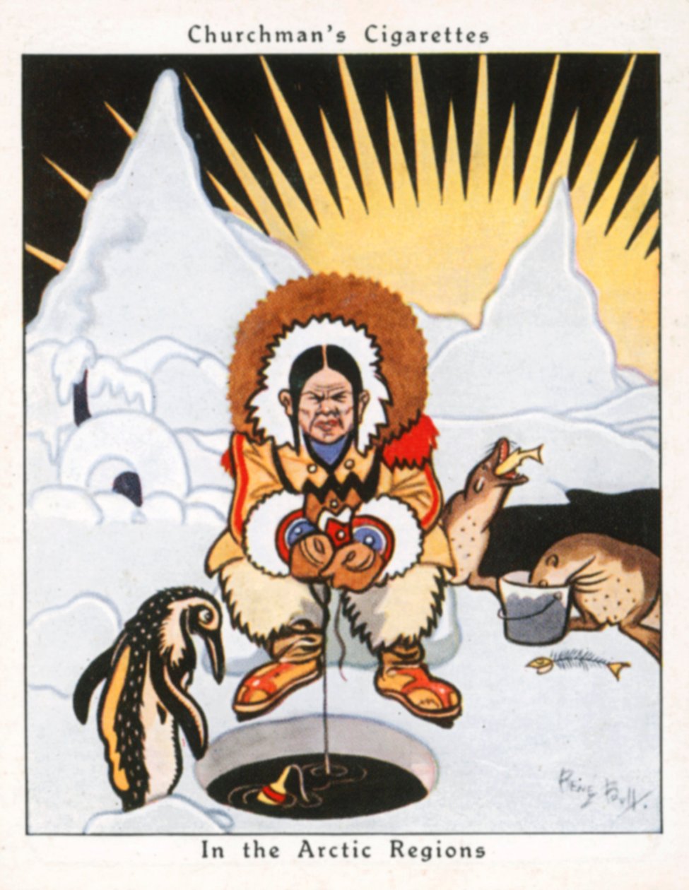  tekijältä René Bull