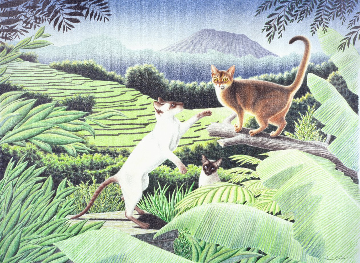 Bali, 2002, Värikynäpiirros paperille tekijältä Rene Boin