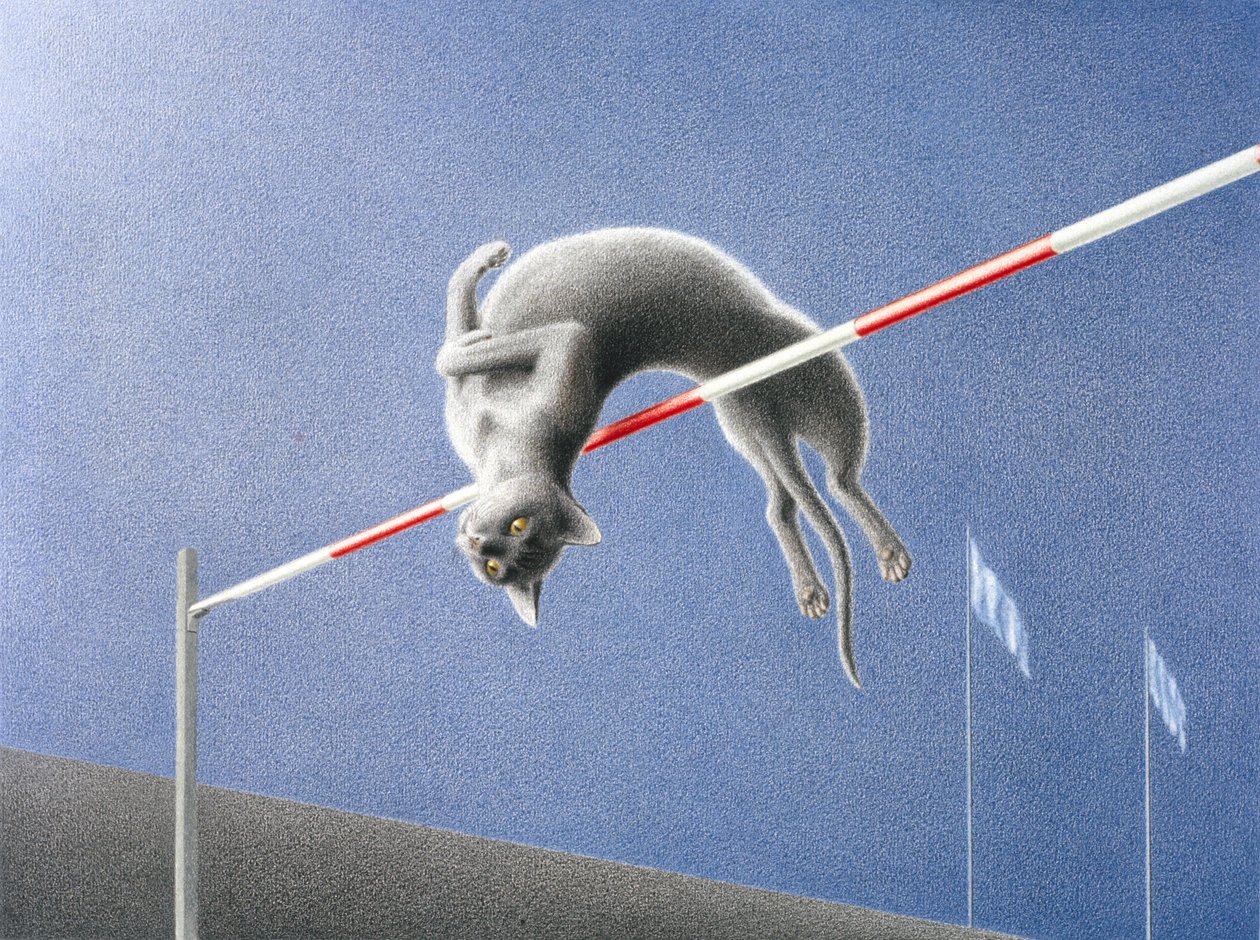 Hypätä tekijältä Rene Boin